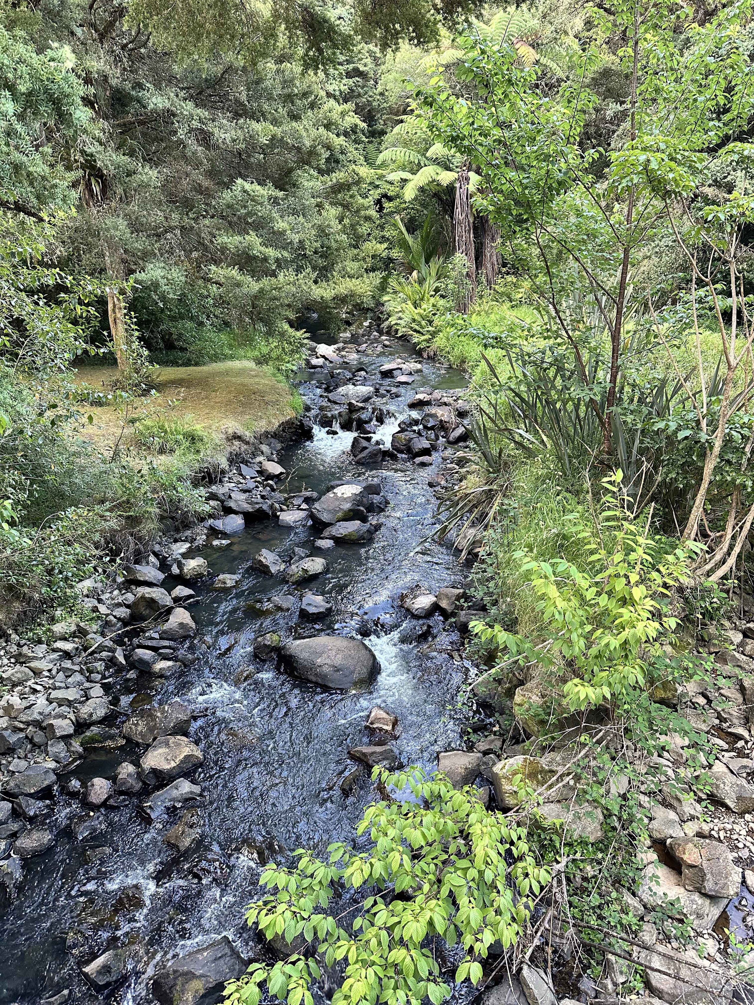 Two professionals in discussion with notes